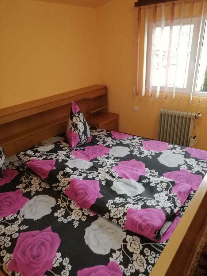 Pension, Camping & Biker Station Zur Deutschen Eiche Ciocanesti Εξωτερικό φωτογραφία