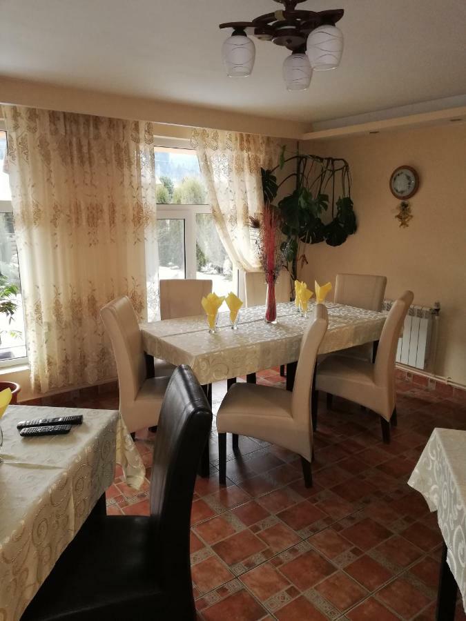Pension, Camping & Biker Station Zur Deutschen Eiche Ciocanesti Εξωτερικό φωτογραφία